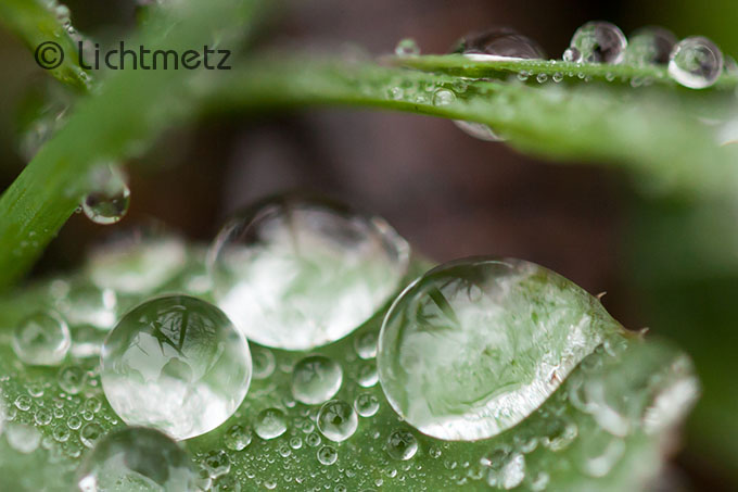Lichtmetz